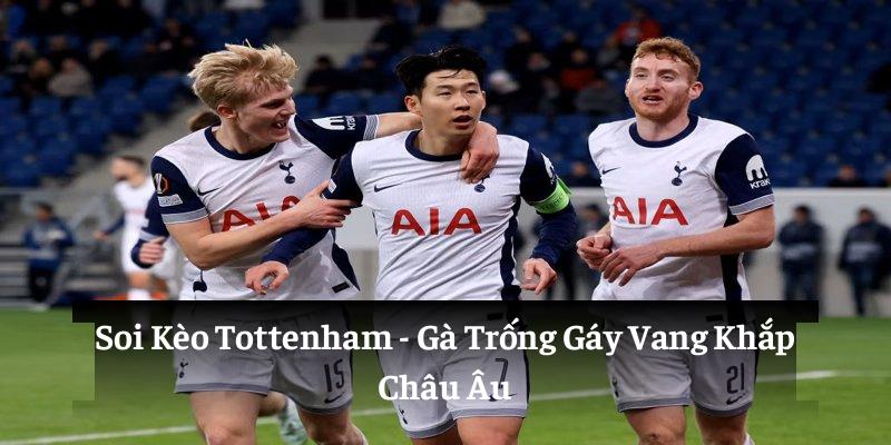 Soi kèo Tottenham